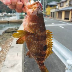 初めてジギングで釣れました